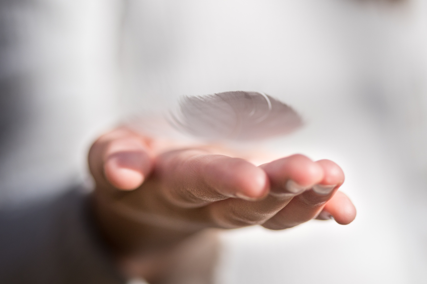 A hand gently offering a small white feather